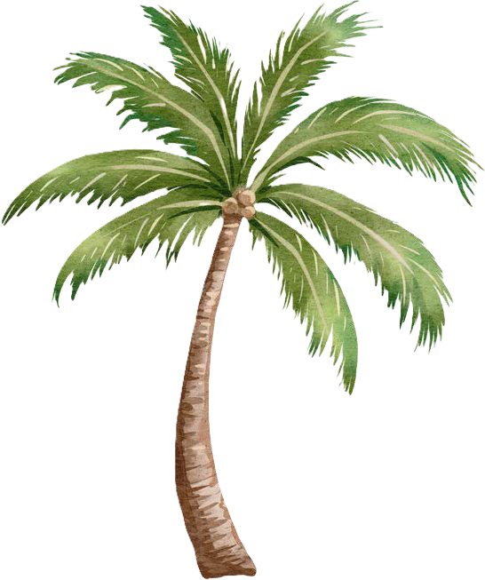 Palm Tree